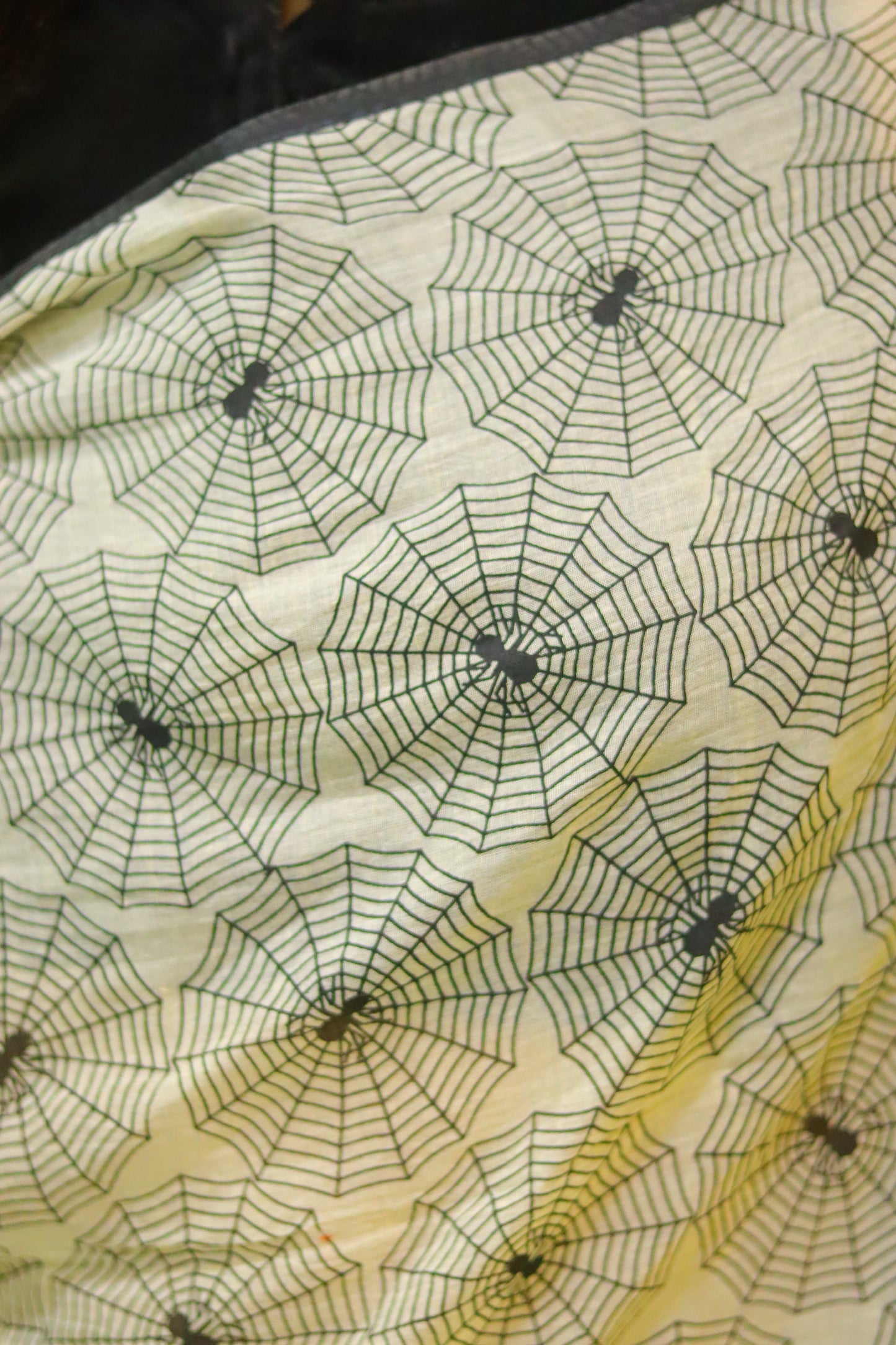 Spider woman