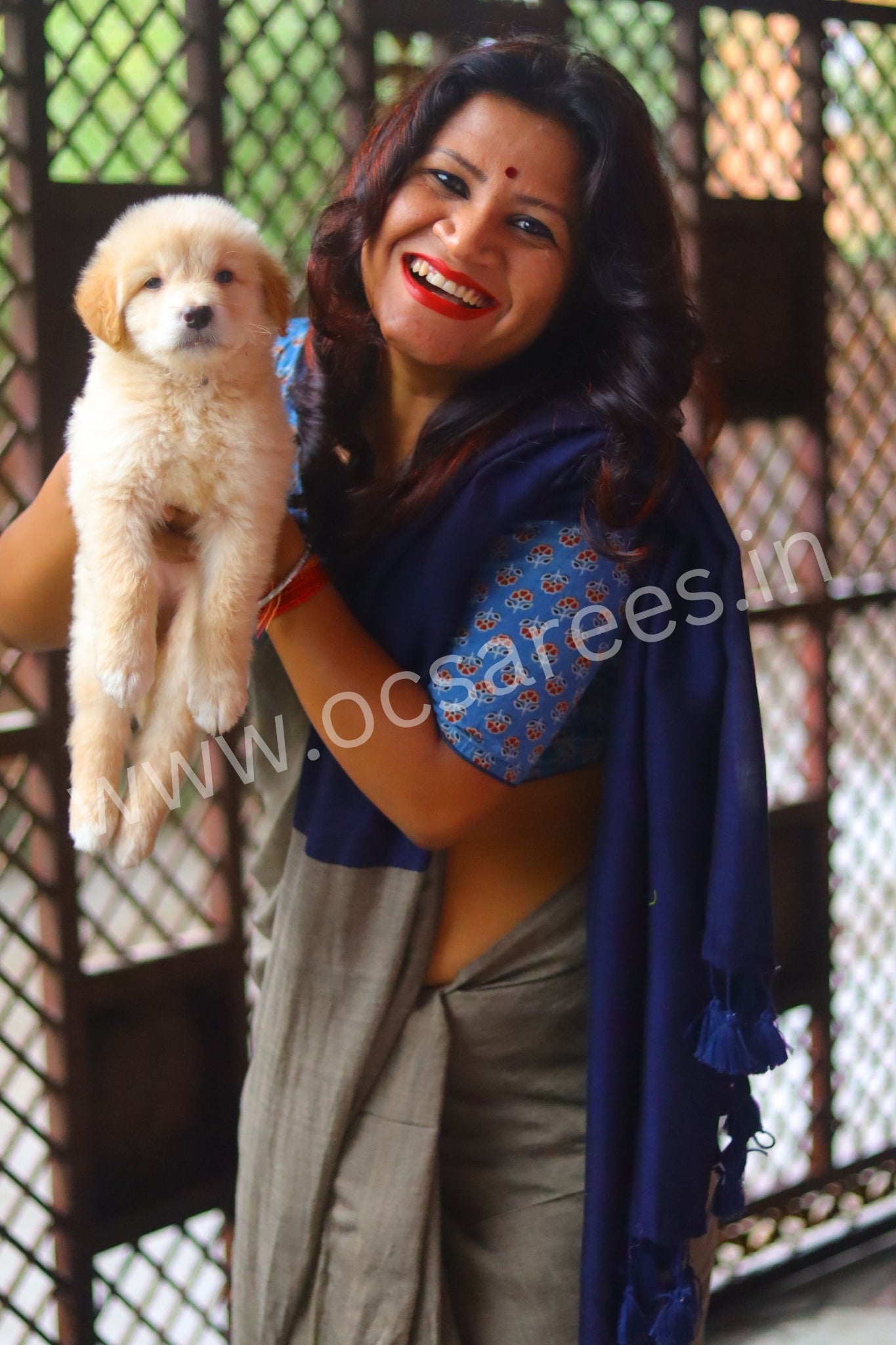 Neel dhundh ( grey and blue saree)